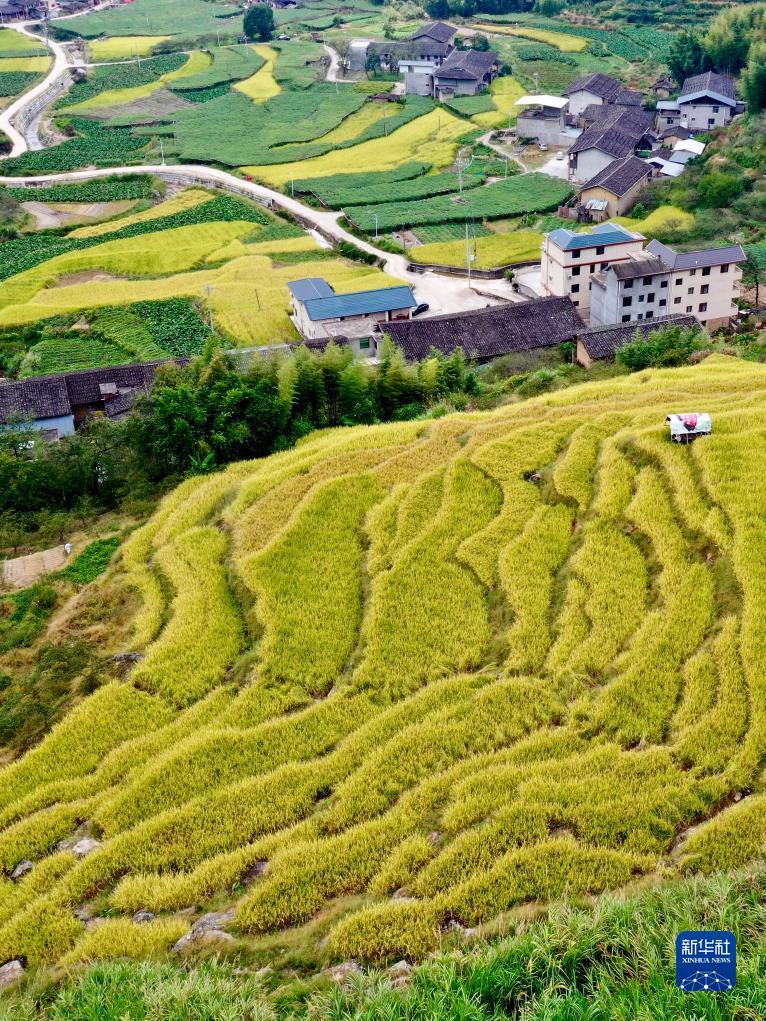 金陵唐人游